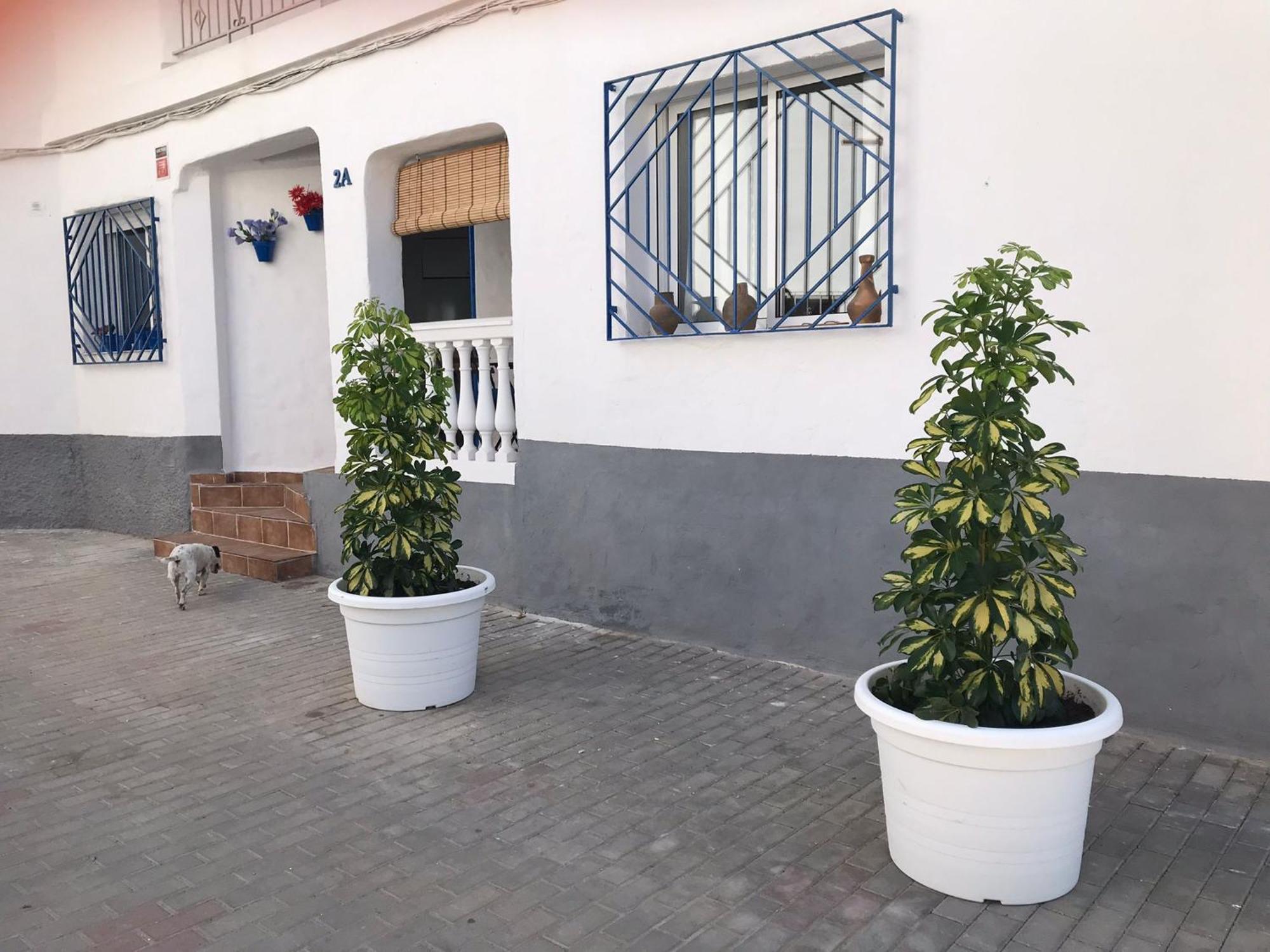 Apartamentos Lolitalola Holidays Salobreña Exterior foto